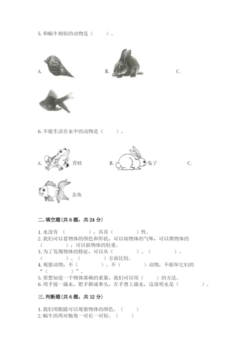 教科版小学科学一年级下册期末测试卷含答案ab卷.docx