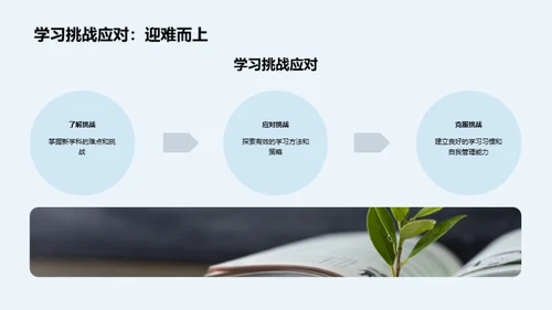 三年级学习导航