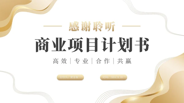 简约金色商业计划书PPT模板