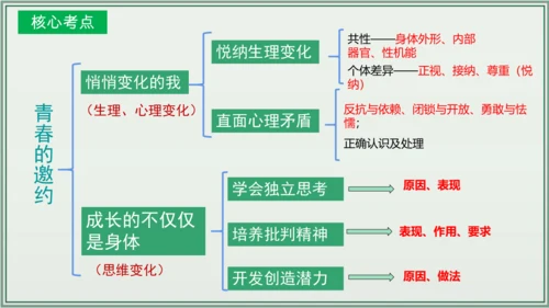 《讲·记·练高效复习》 第一单元 青春时光 七年级道德与法治下册 课件(共24张PPT)