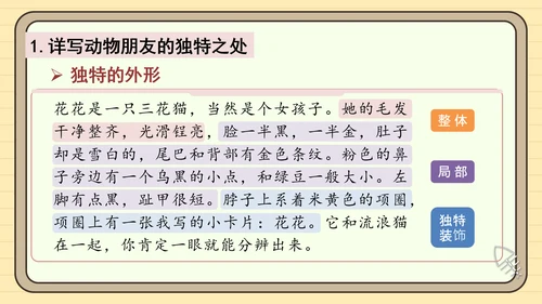 统编版语文四年级下册习作：我的动物朋友（课件）