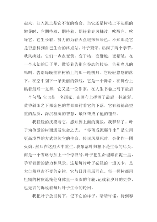 关于写秋天的作文-1.docx