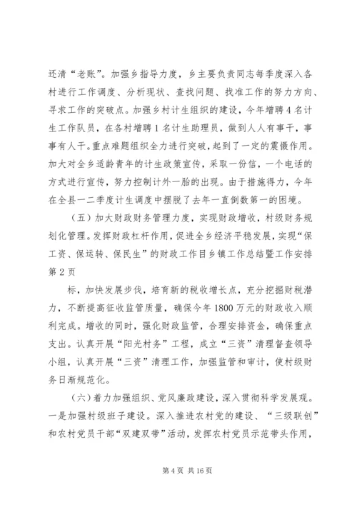 乡镇工作总结暨工作安排.docx