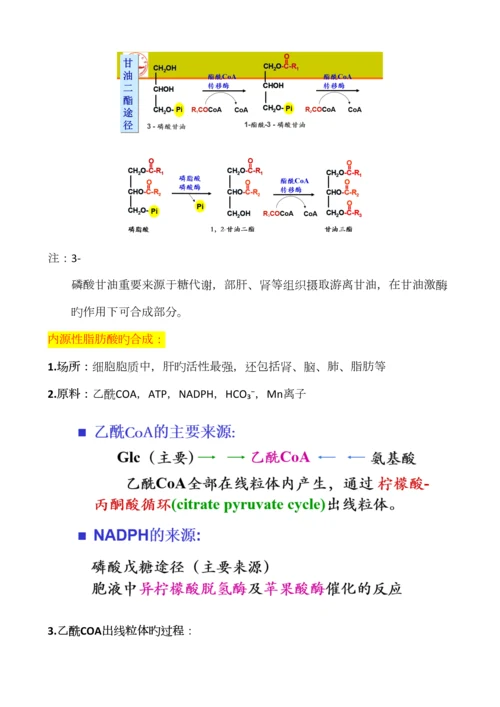 2023年生物化学脂质代谢知识点总结.docx
