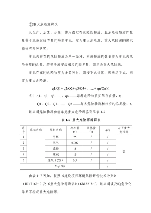 环境风险评价综合报告.docx