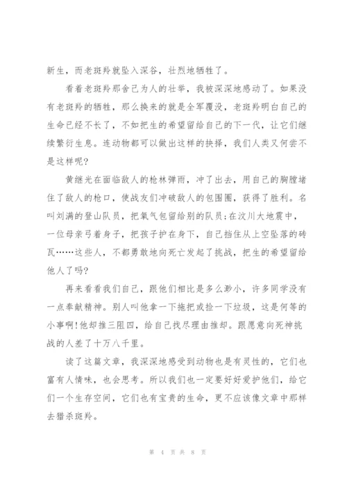 小学四年级读书心得范文5篇.docx
