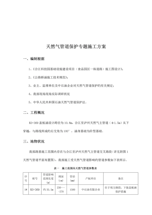 天然气管道保护专项方案.docx