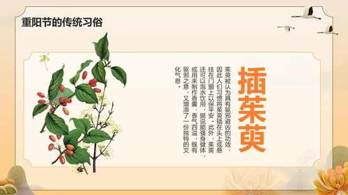 橙色手绘风重阳节 孝亲敬老 从我做起PPT模板