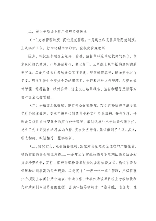 县就业专项资金使用管理情况自查报告