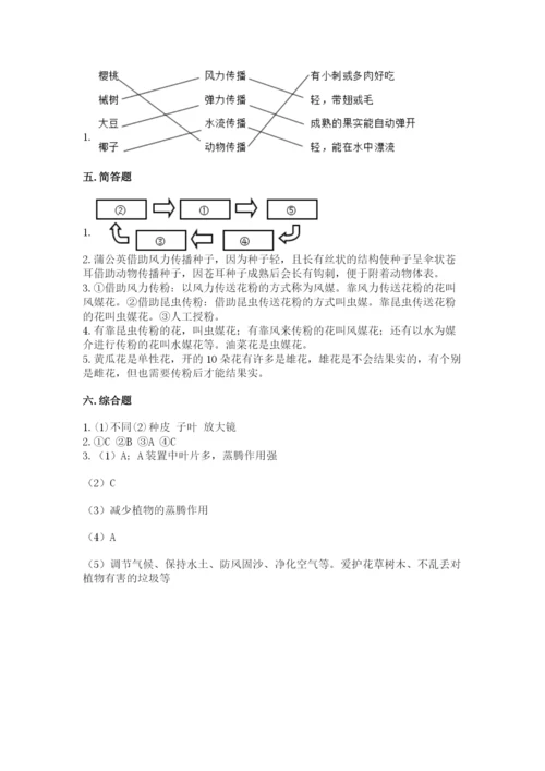 科学四年级下册第一单元《植物的生长变化》测试卷（典型题）.docx