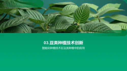 豆类智慧种植新纪元