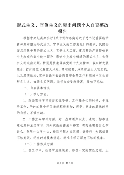形式主义、官僚主义的突出问题个人自查整改报告.docx