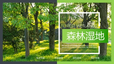 绿色生态森林湿地环境保护植树造林PPT模板