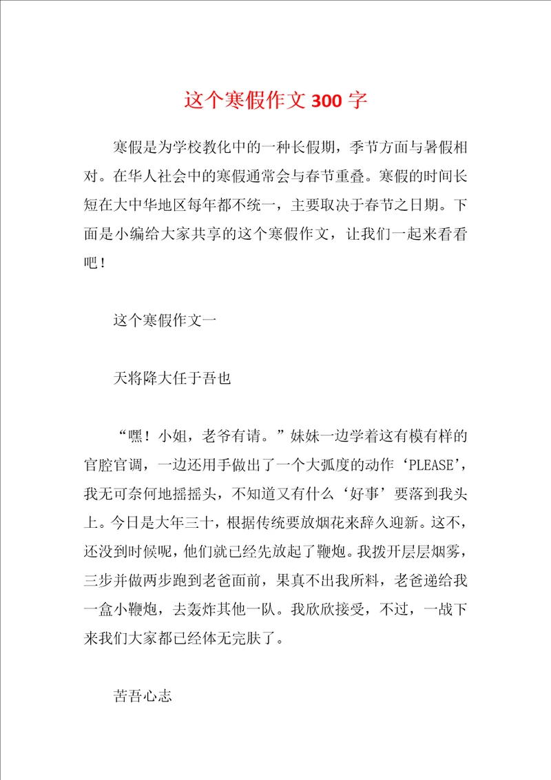 这个寒假作文300字