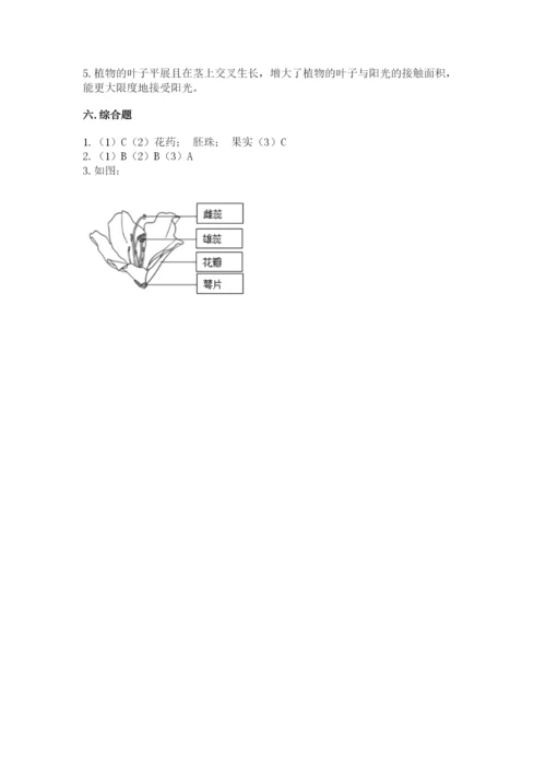 教科版四年级下册科学第一单元《植物的生长变化》测试卷及一套答案.docx