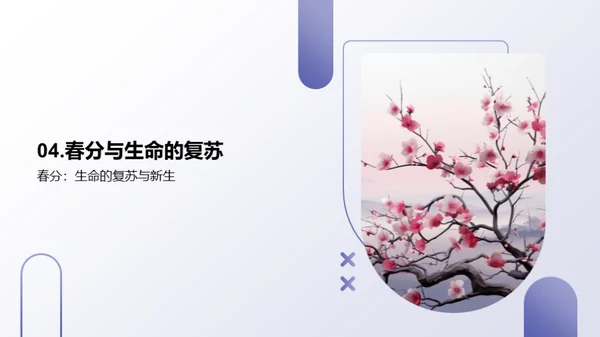 春分：自然的协调之美