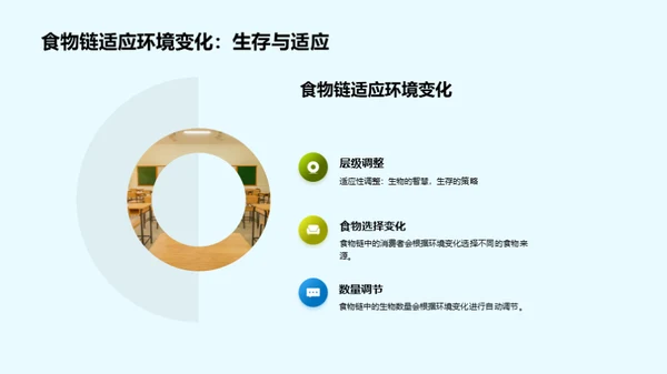 深度解析食物链