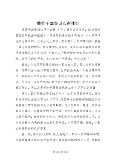 城管干部集训心得体会.docx