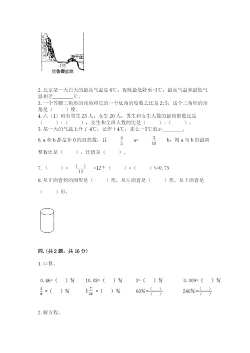 苏教版数学六年级下册试题期末模拟检测卷【黄金题型】.docx