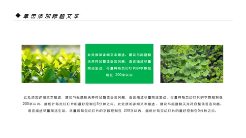 绿色清新生态文明环保低碳和谐社区PPT模板