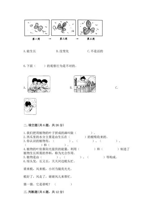 教科版科学一年级上册第一单元《植物》测试卷附答案【预热题】.docx