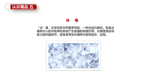 珍爱生命世界禁毒日PPT