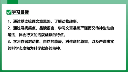 17.动物笑谈（课件）【2023秋人教七上语文高效实用备课】(共33张PPT)