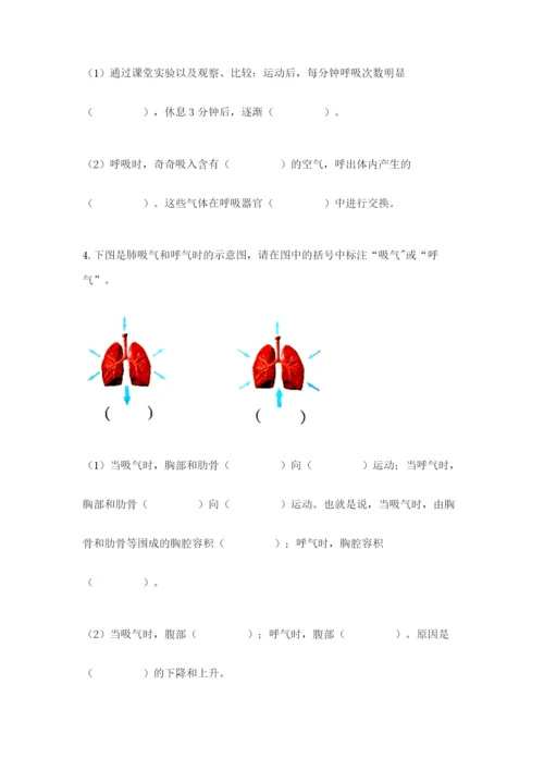 教科版四年级上册科学期末测试卷带答案（实用）.docx