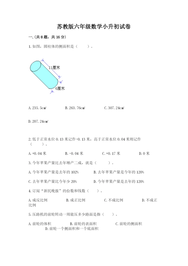 苏教版六年级数学小升初试卷【培优】.docx