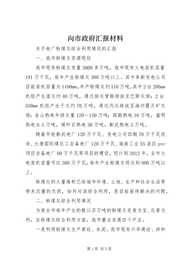 向市政府汇报材料 (3).docx