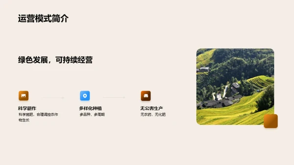 农场运营全解析