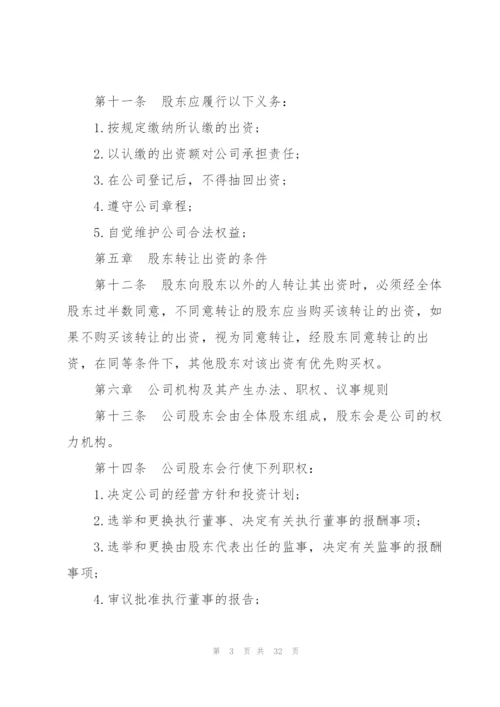 个人经营公司章程范文.docx