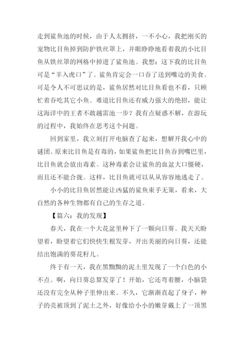我的发现作文四年级-1.docx