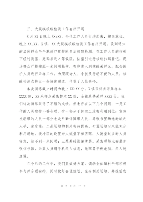 核酸检测结束之后的工作总结模板.docx