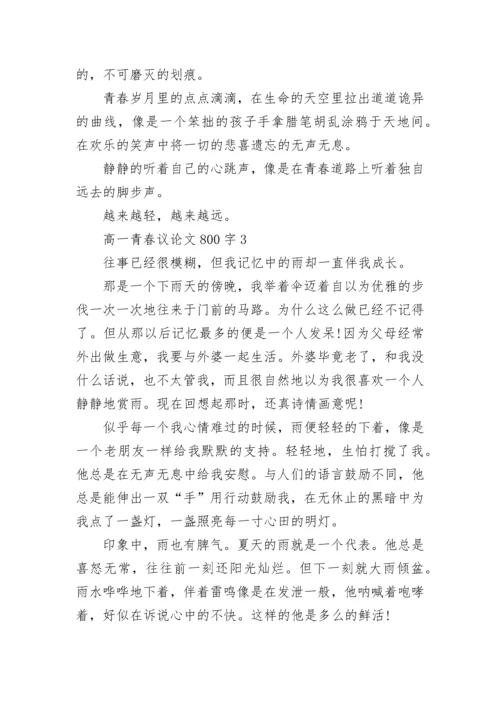 高一青春议论文800字2022范文.docx
