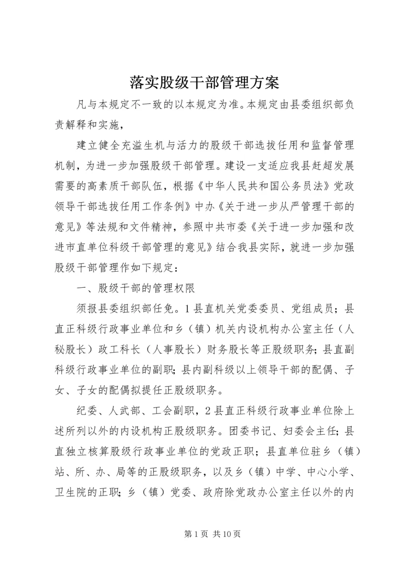 落实股级干部管理方案.docx