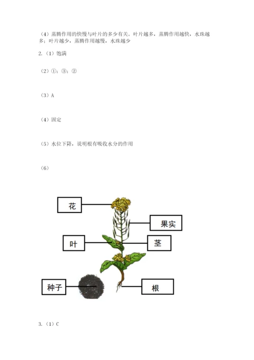 教科版四年级下册科学第一单元《植物的生长变化》测试卷（考试直接用）.docx