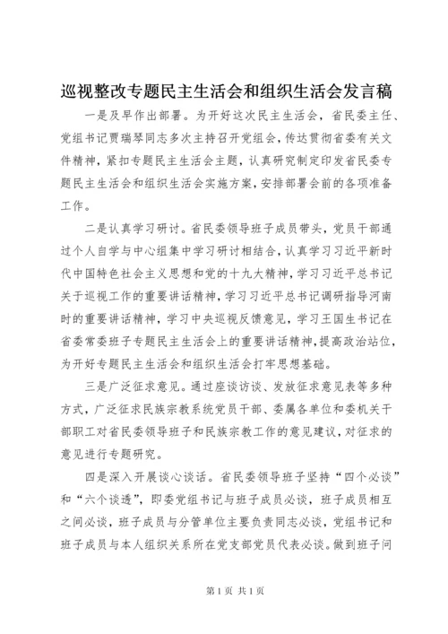 巡视整改专题民主生活会和组织生活会发言稿.docx