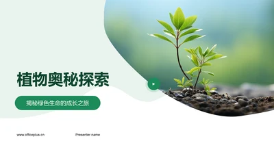 植物奥秘探索