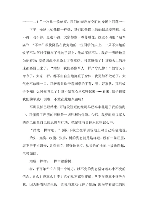 初中军训心得体会模板汇编8篇（一）.docx