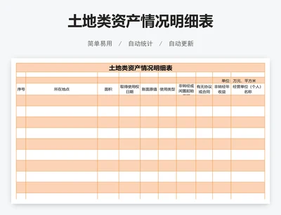 土地类资产情况明细表