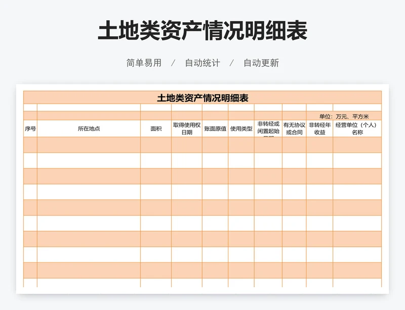 土地类资产情况明细表