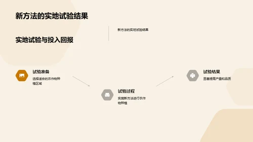 新农业实践的探索