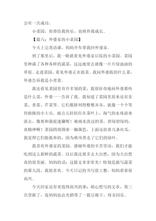 姥姥家的小菜园作文.docx
