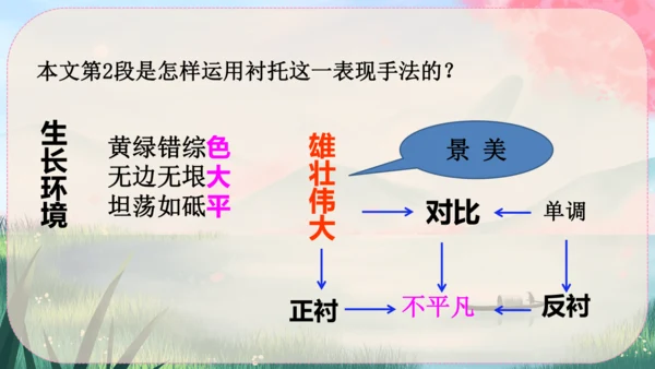 15《白杨礼赞》课件