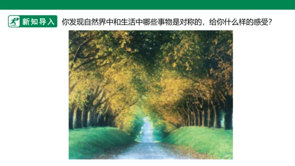 第六课《巧用对称形》课件