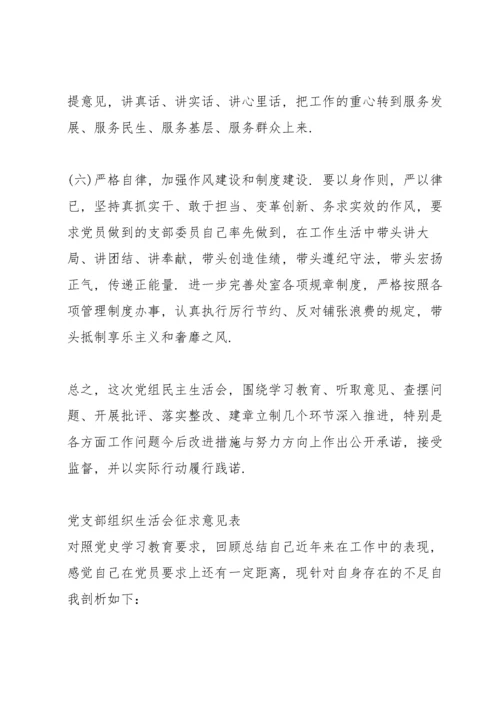 党支部组织生活会征求意见表.docx