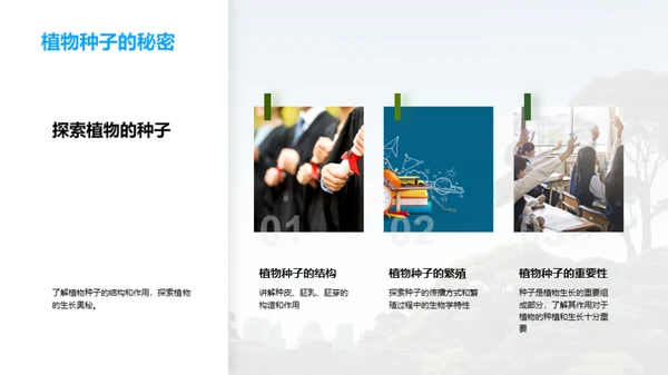 生命的奥秘与探索