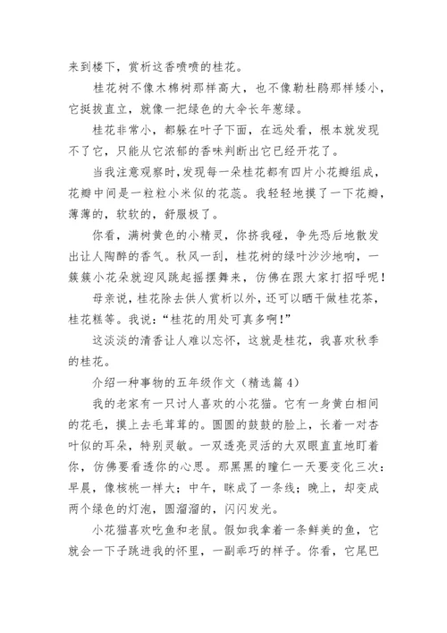 介绍一种事物的五年级作文（精选7篇）.docx