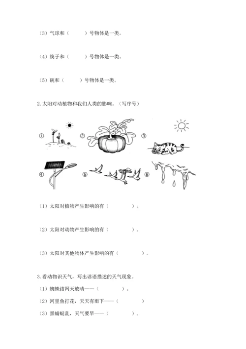 教科版科学二年级上册《期末测试卷》【历年真题】.docx